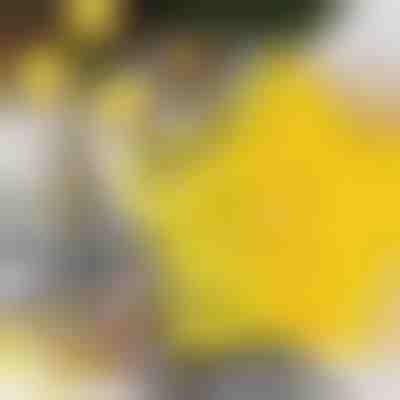 Forme pentru prăjituri în formă de stea (6 bucăți) | STARCUTS