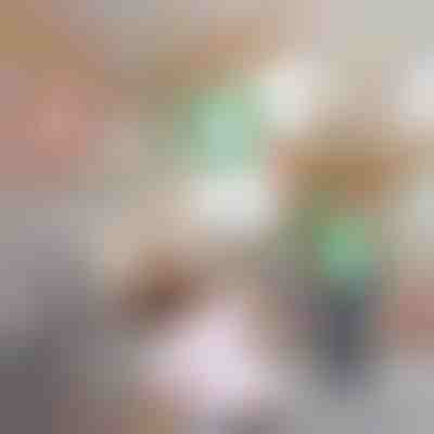 Joc de aruncat inele pe coarne de ren | RUDYTOSS