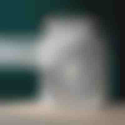 Aparat portabil de aer condiționat | FRIOZA