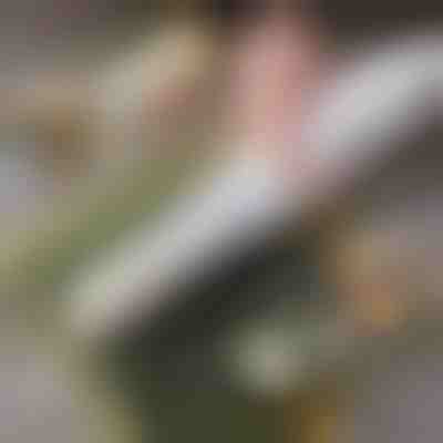 Aparat de rulat sushi acasă | SUSHROLIO