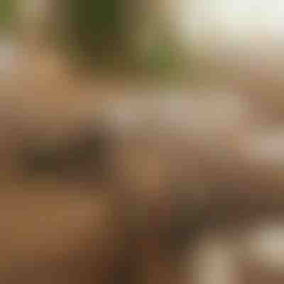 Organizator magnetic cu adeziv pentru cabluri | CABLIP